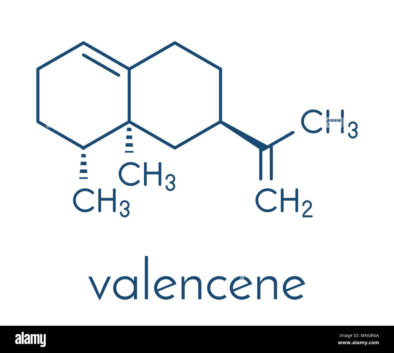 Valencene citrus fruit aroma molecule. Skeletal formula. Stock Vector