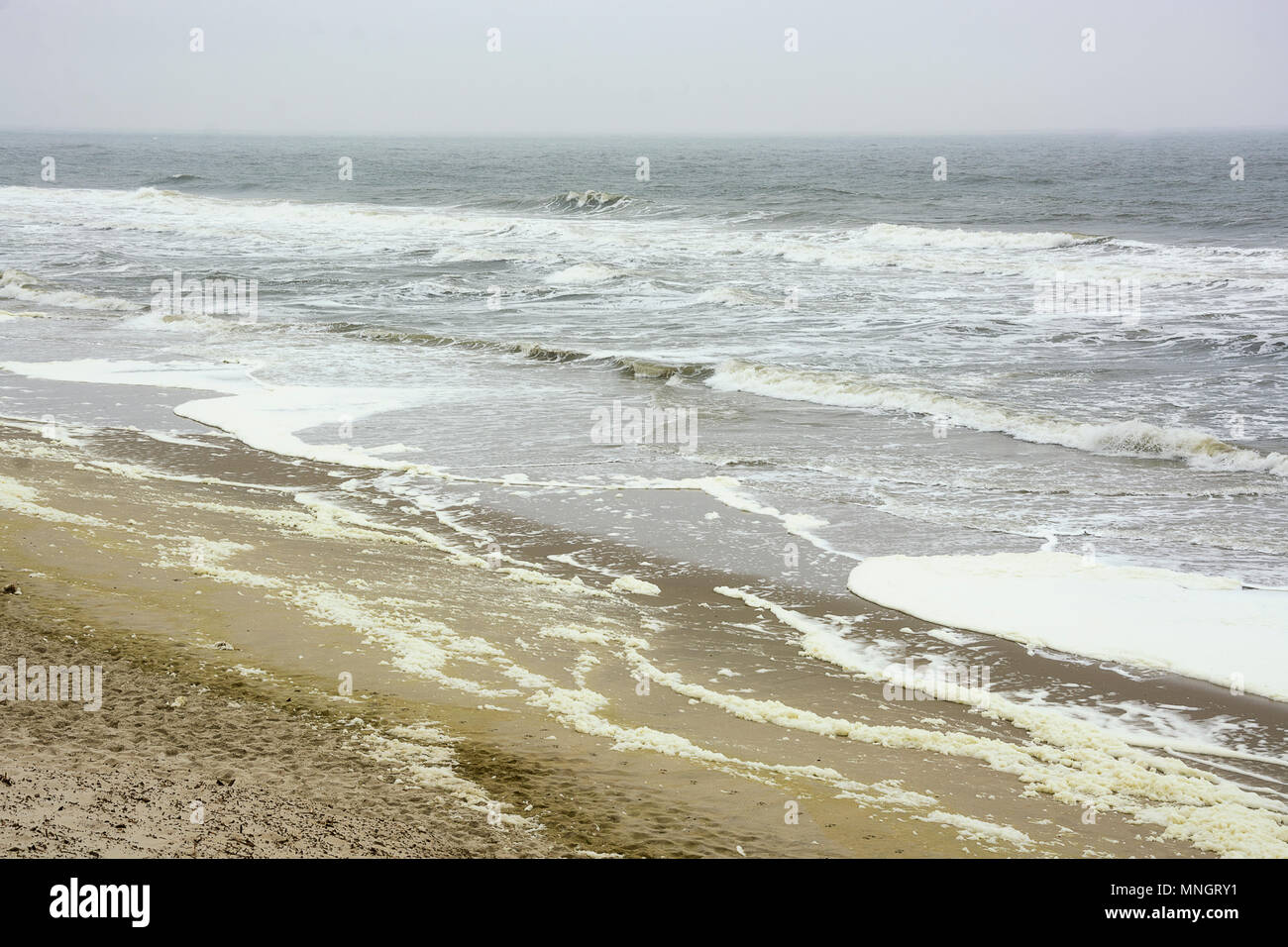 Beautiful view on the coastline of Zeeland, the Netherlands with typical Dutch windy weather conditions and different grey colors Stock Photo