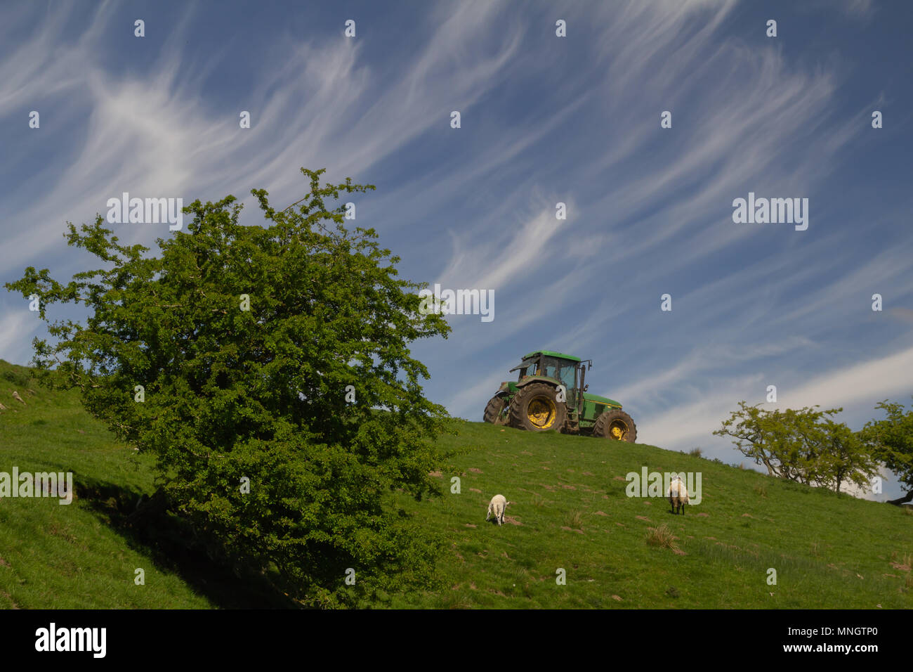 Cirrus clouds in blue sky Stock Photo