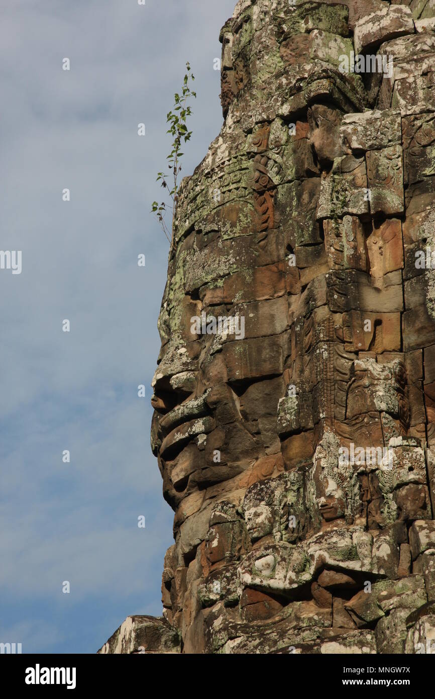 The entrance to Ta Prohm, Cambodia Stock Photo