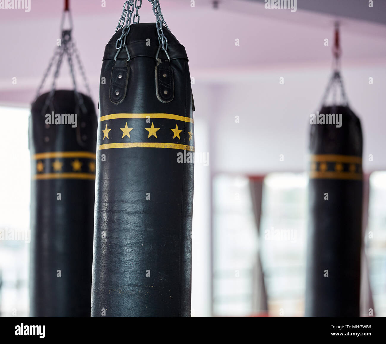 Heavy punch bags and equipment in the gym Stock Photo Alamy