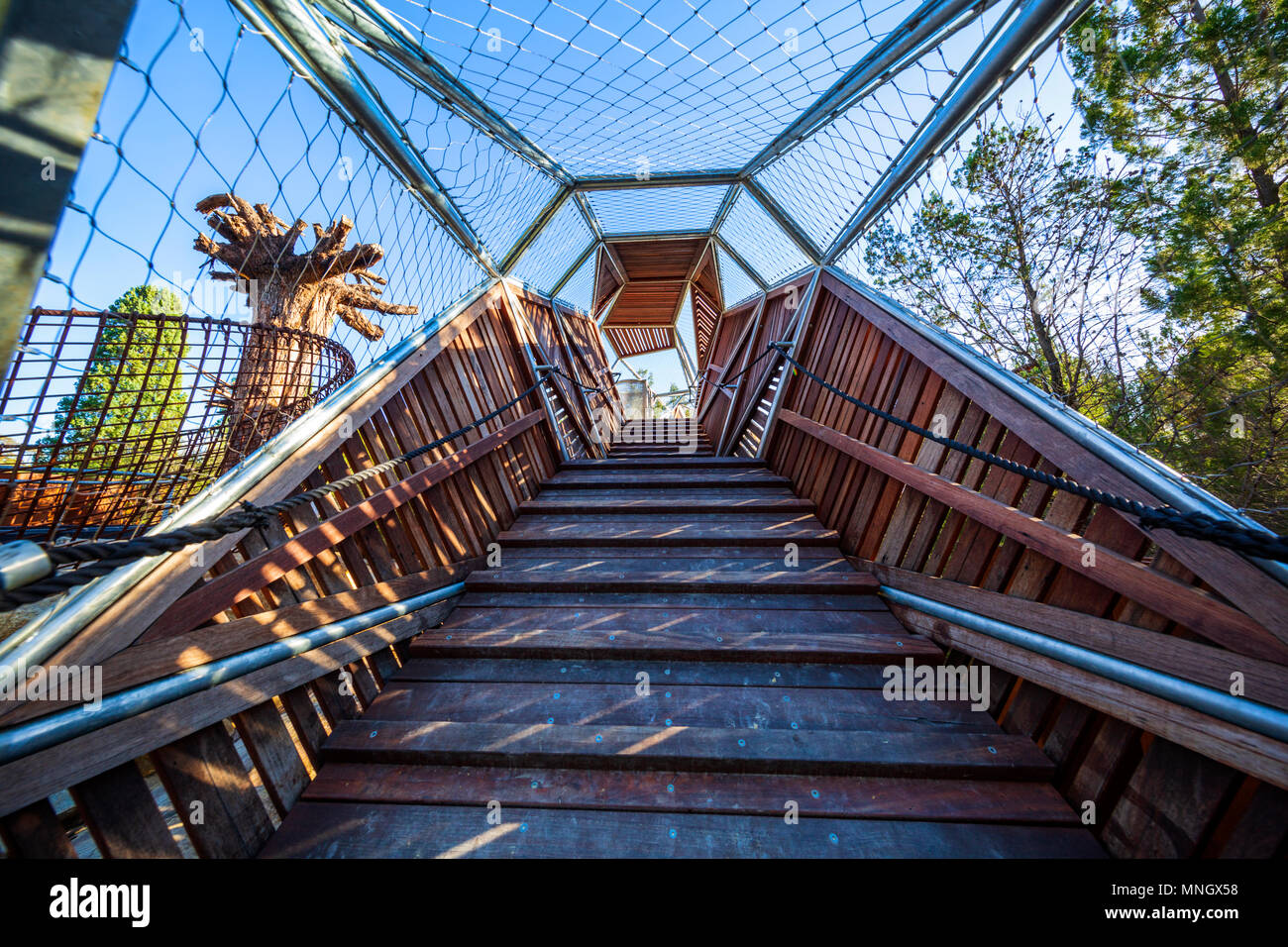 The Bungarra aerial walkway (made from recycled timber) at Rio Tinto Naturescape in Kings Park, Perth, Western Australia. Stock Photo