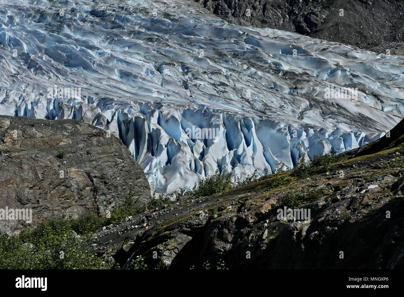 Mendelhall Glacier Juneau AK Stock Photo