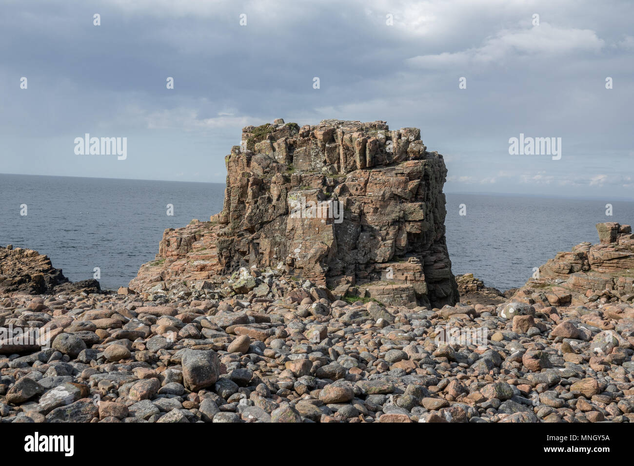 Hovs hallar is a  natural reserve in a costal area in the south of Sweden Stock Photo