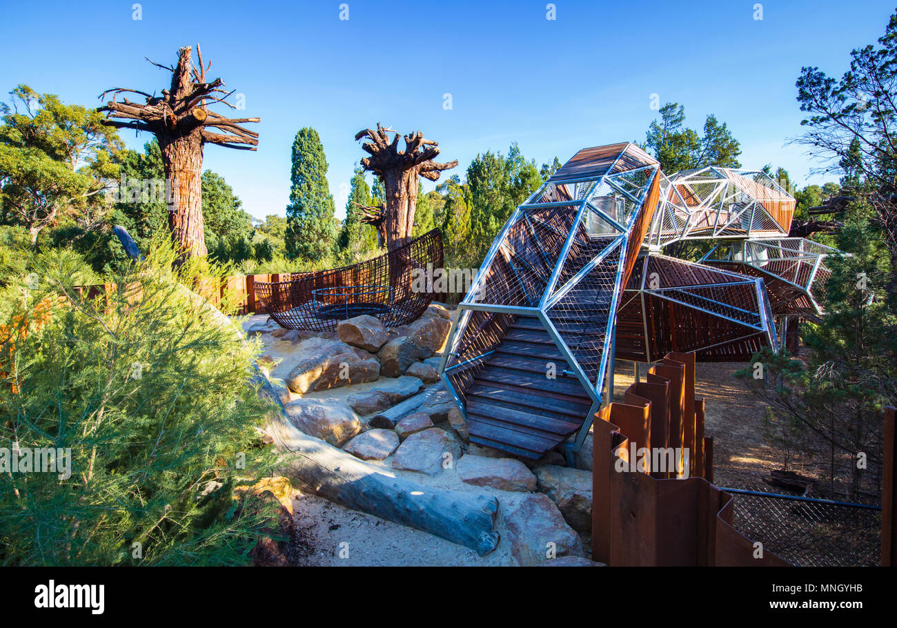 The Bungarra aerial walkway (made from recycled timber) at Rio Tinto Naturescape in Kings Park, Perth, Western Australia. Stock Photo