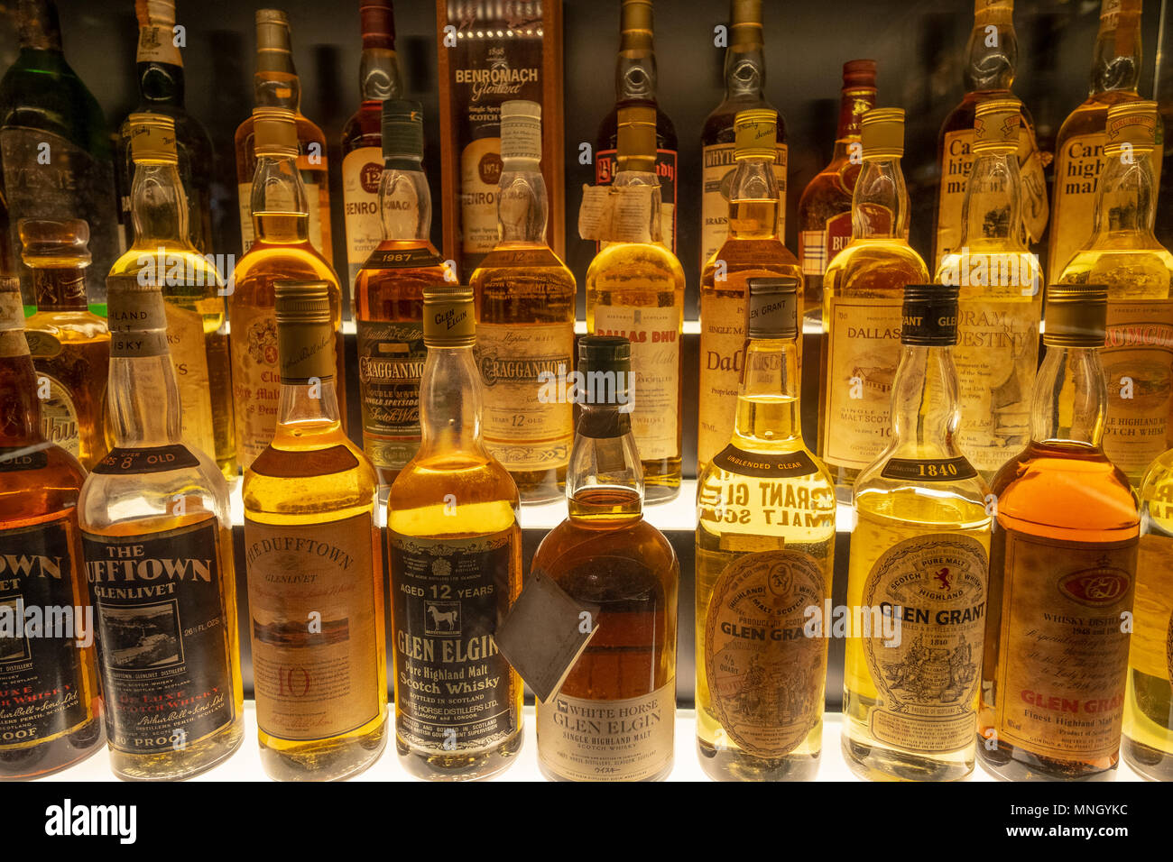 Many bottles of Scotch Whisky on display at the Scotch Whisky Experience visitor centre on the Royal Mile in Edinburgh, Scotland, UK Stock Photo