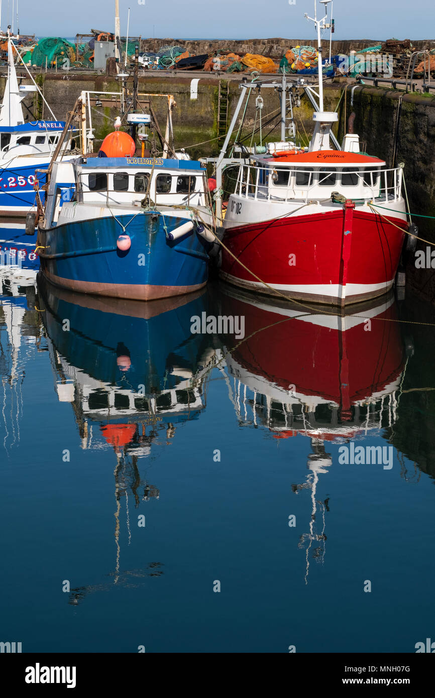 Fishing harbour with many fishing boats at Pittenweem in East Neuk of ...