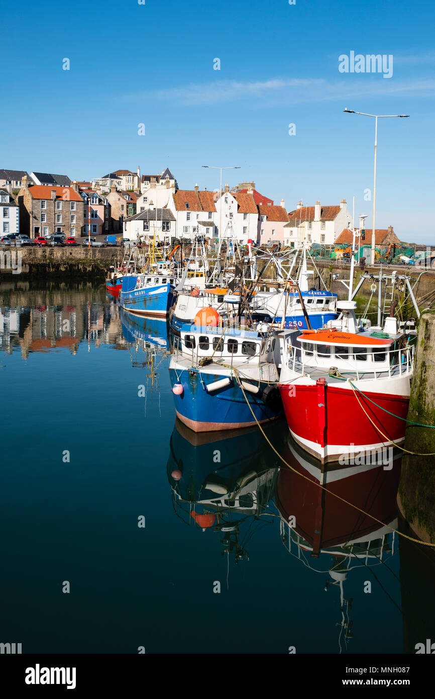 Fishing harbour with many fishing boats at Pittenweem in East Neuk of ...