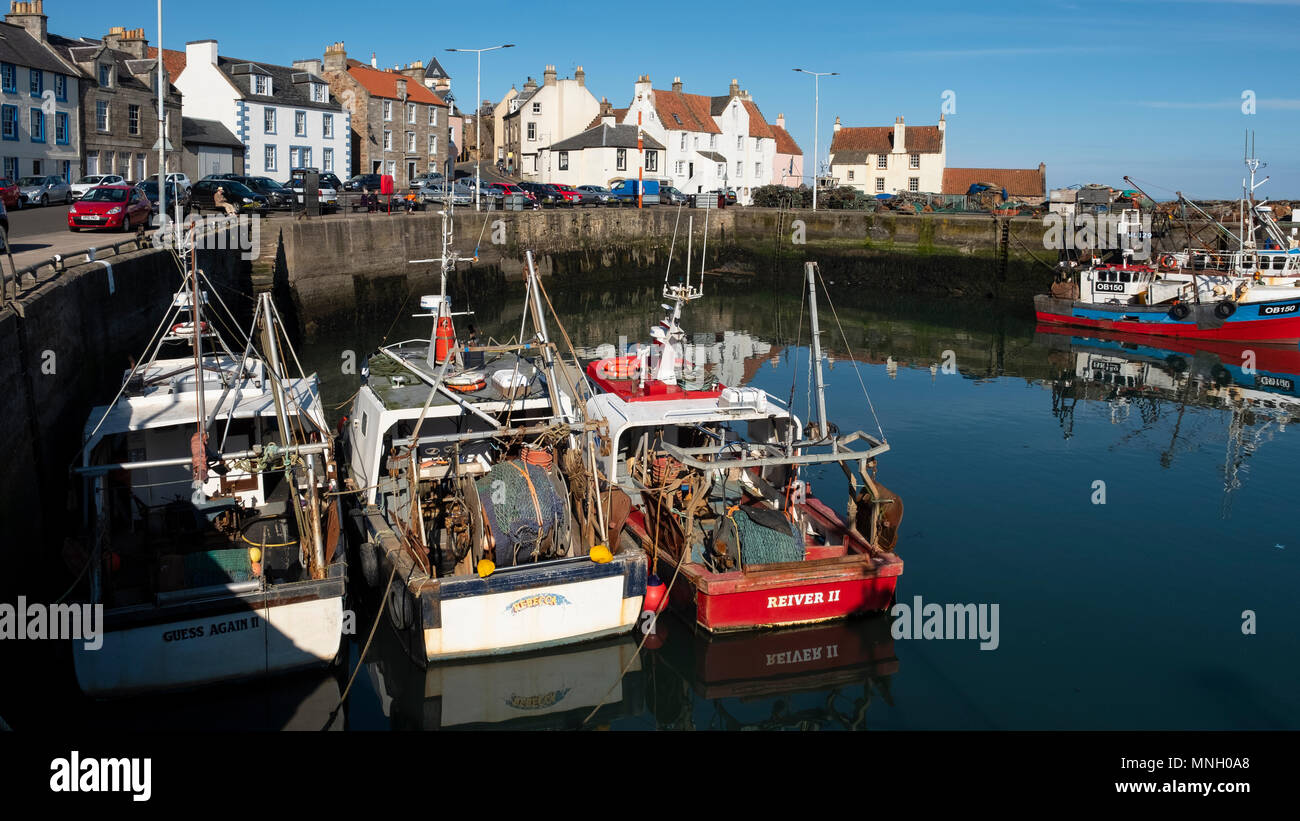 Fishing harbour with many fishing boats at Pittenweem in East Neuk of ...