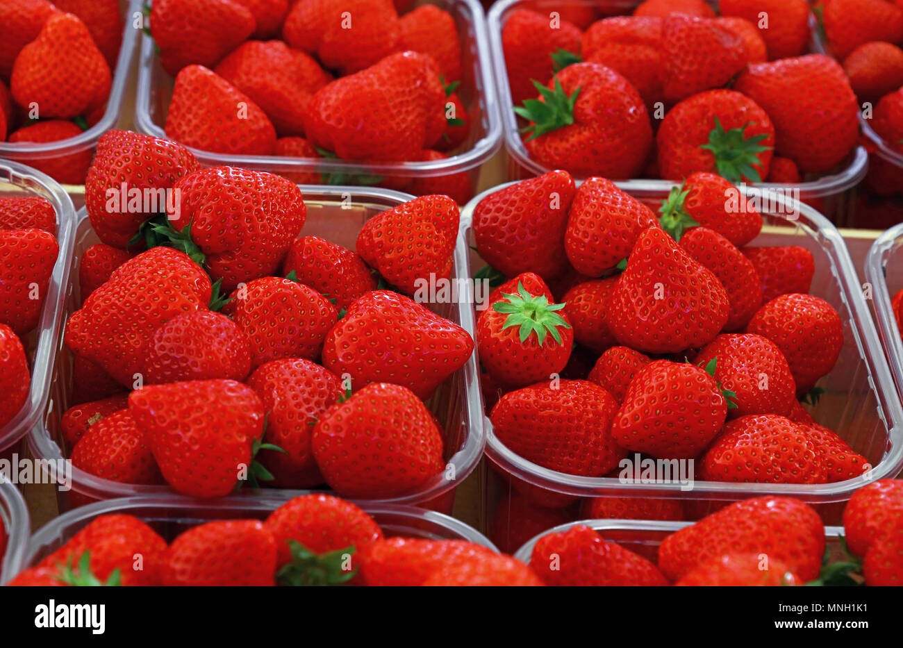 Close up fresh red ripe strawberry berries in plastic container boxes on retail display of farmers market, high angle view Stock Photo