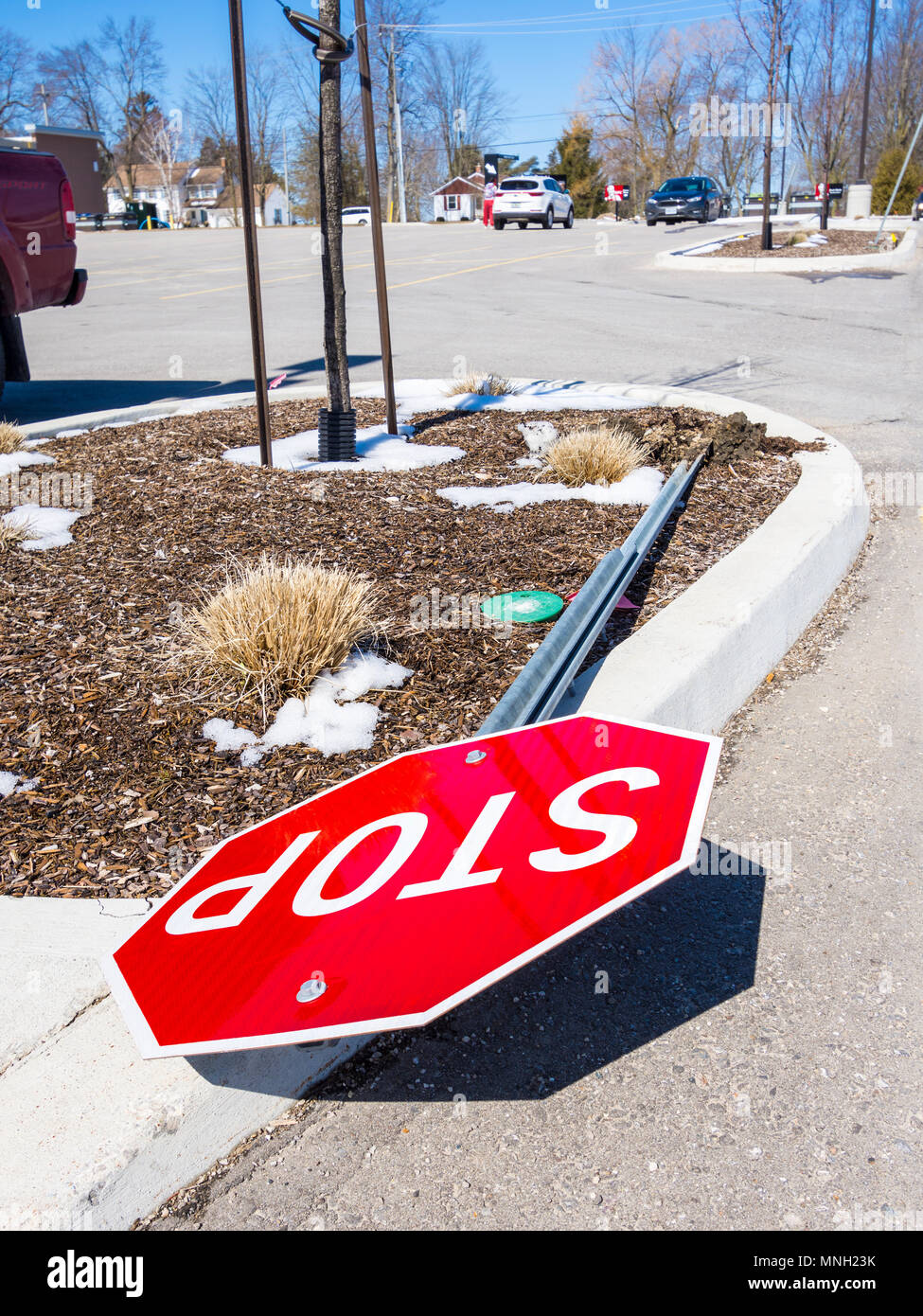 Traffic stop sign hires stock photography and images Alamy