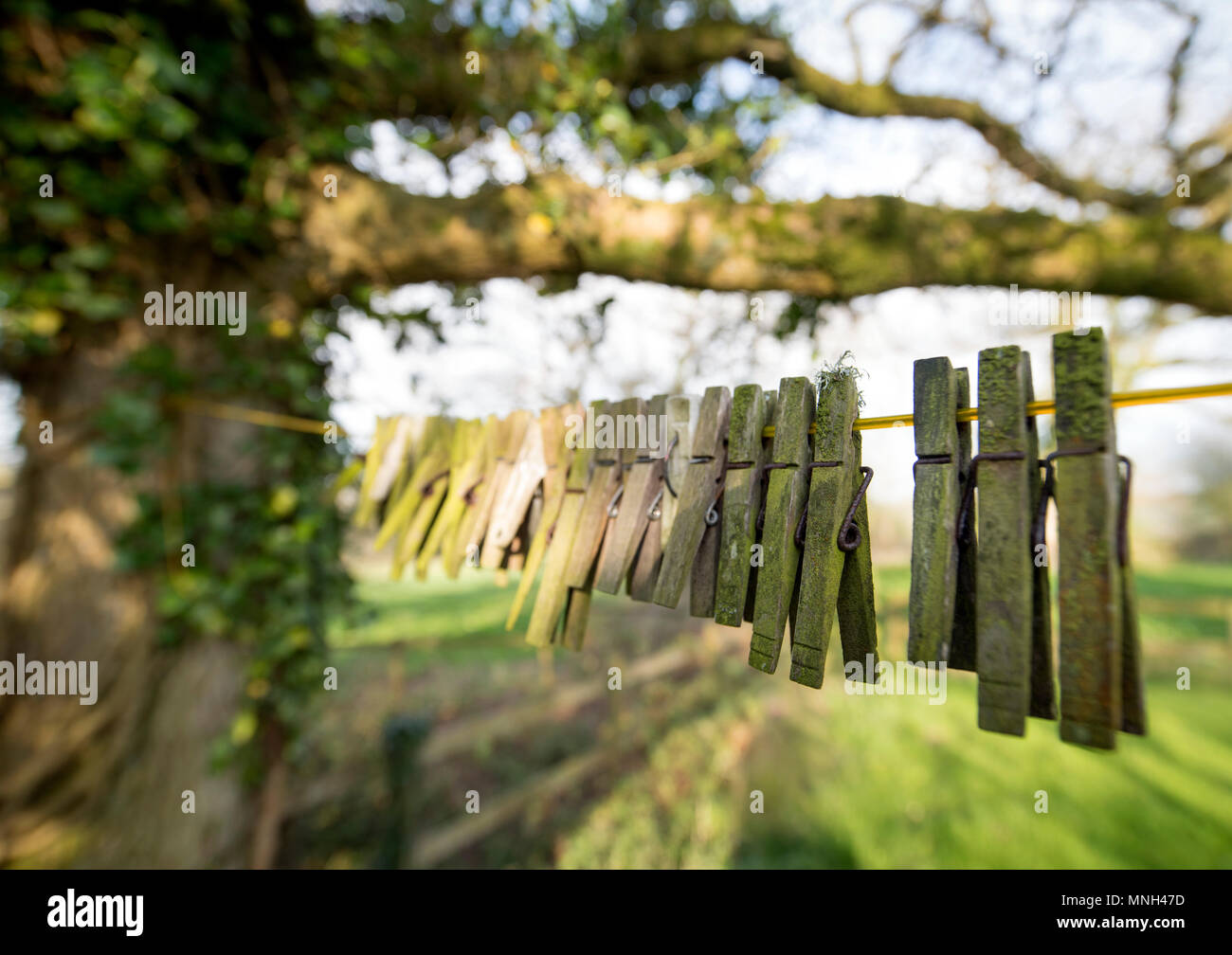 Old Clothes Pegs Stock Photos Old Clothes Pegs Stock Images Alamy