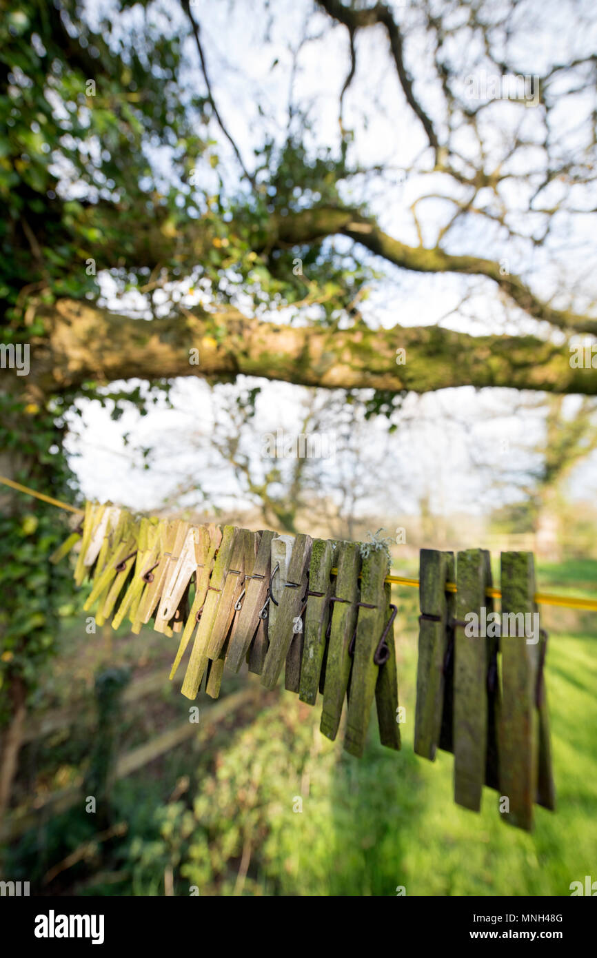 Old Clothes Pegs Stock Photos Old Clothes Pegs Stock Images Alamy