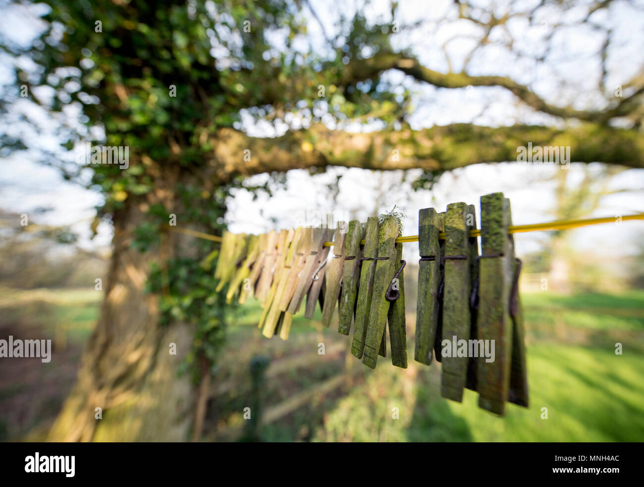 Old Clothes Pegs Stock Photos Old Clothes Pegs Stock Images Alamy