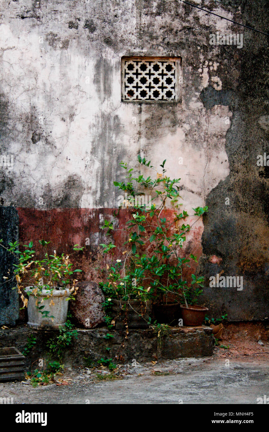 Flower pots, Panjim, Goa, India Stock Photo Alamy