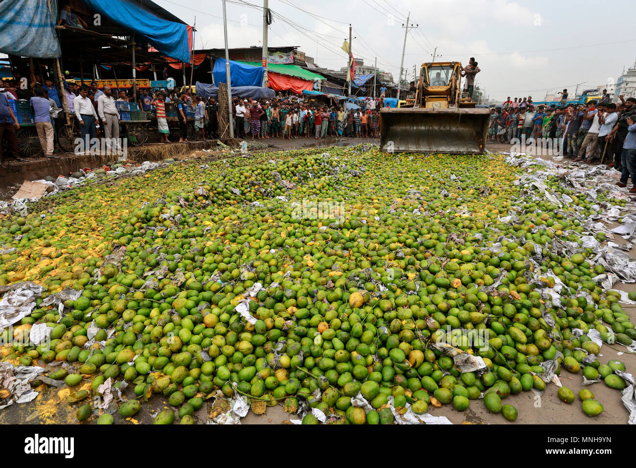 Mango destroy hires stock photography and images Alamy