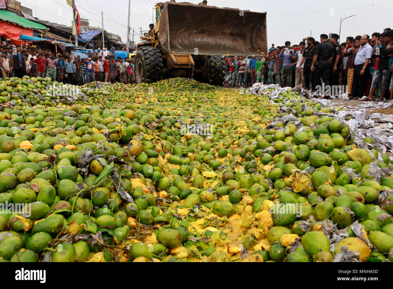 Mango Market Bangladesh Stock Photos & Mango Market Bangladesh Stock