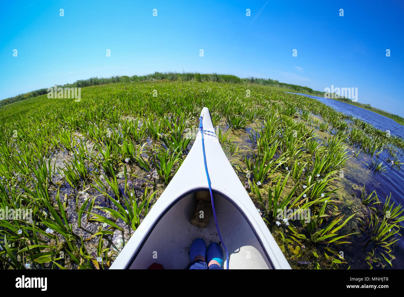 Delta Dunarii in a Canoe Stock Photo