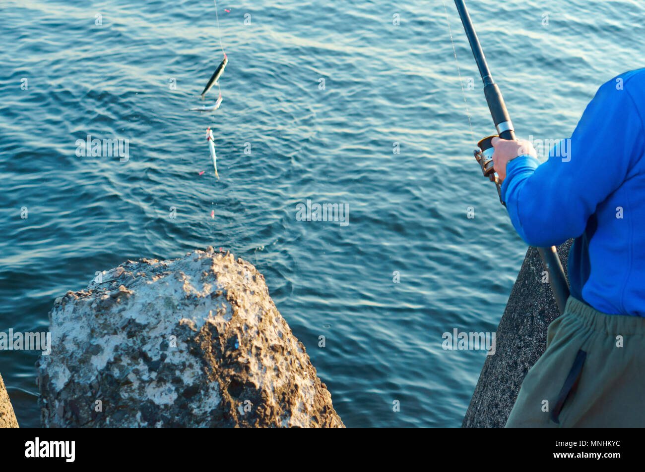 a man caught a fish on a fishing rod, fishing on a Salak, fishing in the evening, sea fishing in the spring Stock Photo