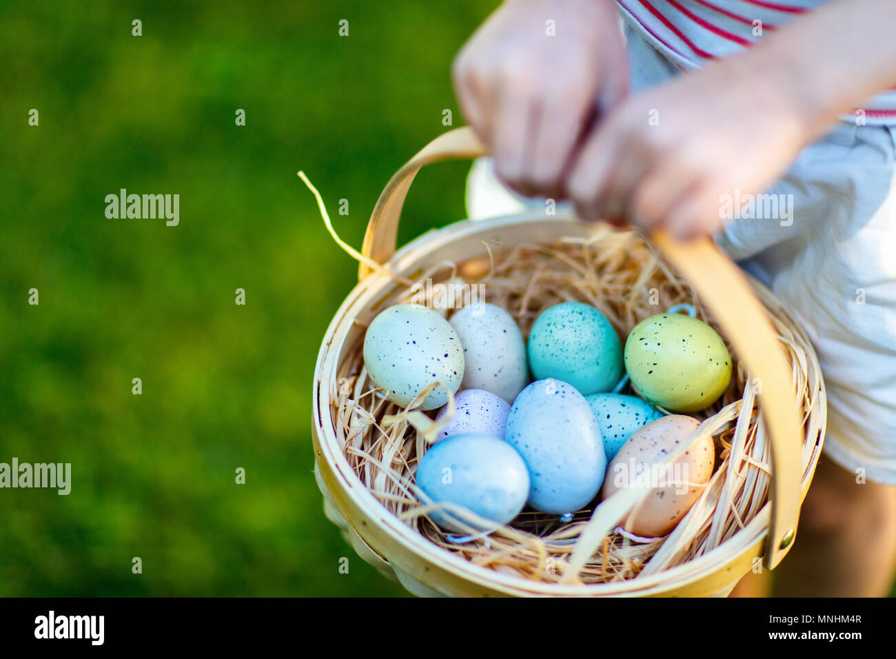 Colored colorful easter eggs in the grass Stock Photo Alamy Colored colorful easter eggs in the grass Stock Photo Alamy
