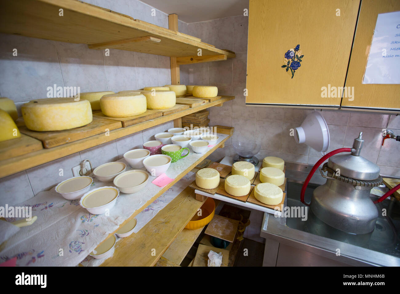 Cheeses are drying on shelves at mountain farm in Uskovnica on Pokljuka plateau in Julian Alps, Slovenia Stock Photo