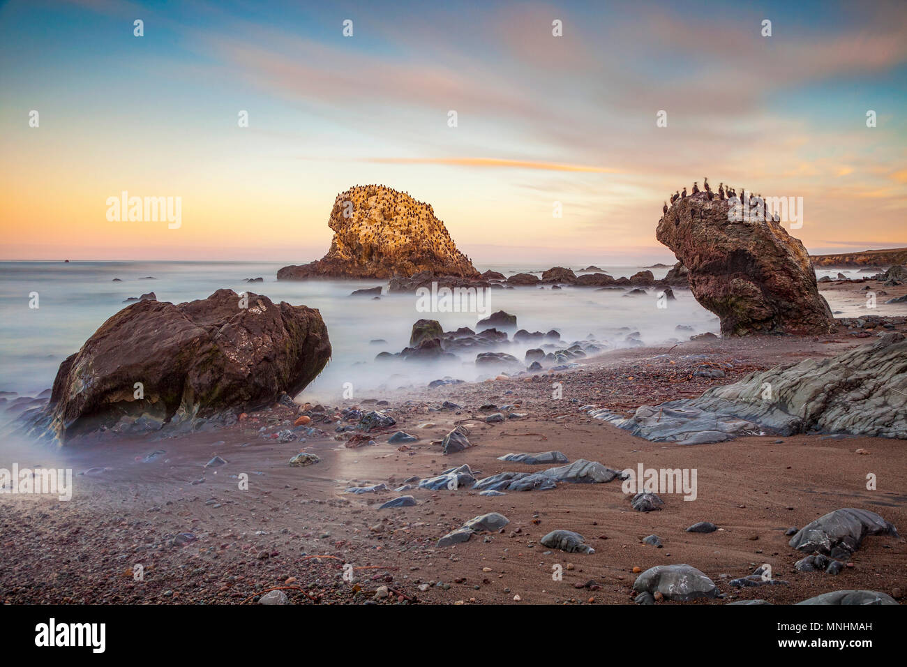San Simeon State Beach, California, with cormorants perching on the rocks. Long Exposure at dawn. Stock Photo