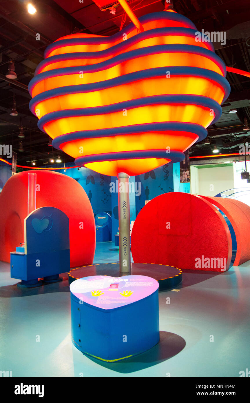 Heart-shaped display in the human biology gallery of the China Science ...