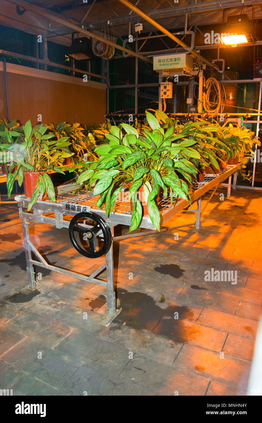 An automated plant watering system on display at the China Science and Technology Museum in Beijing, China. Stock Photo