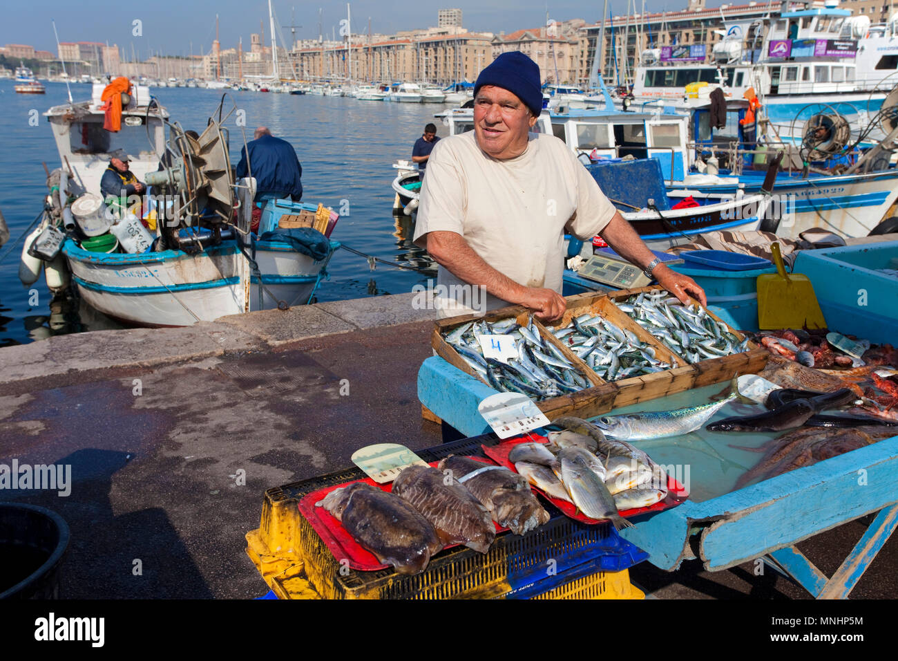 Fisherman selling fish at harbour Vieux Port, Marseille, Bouches-du-Rhone, Provence-Alpes-Côte d’Azur, South France, France, Europe Stock Photo