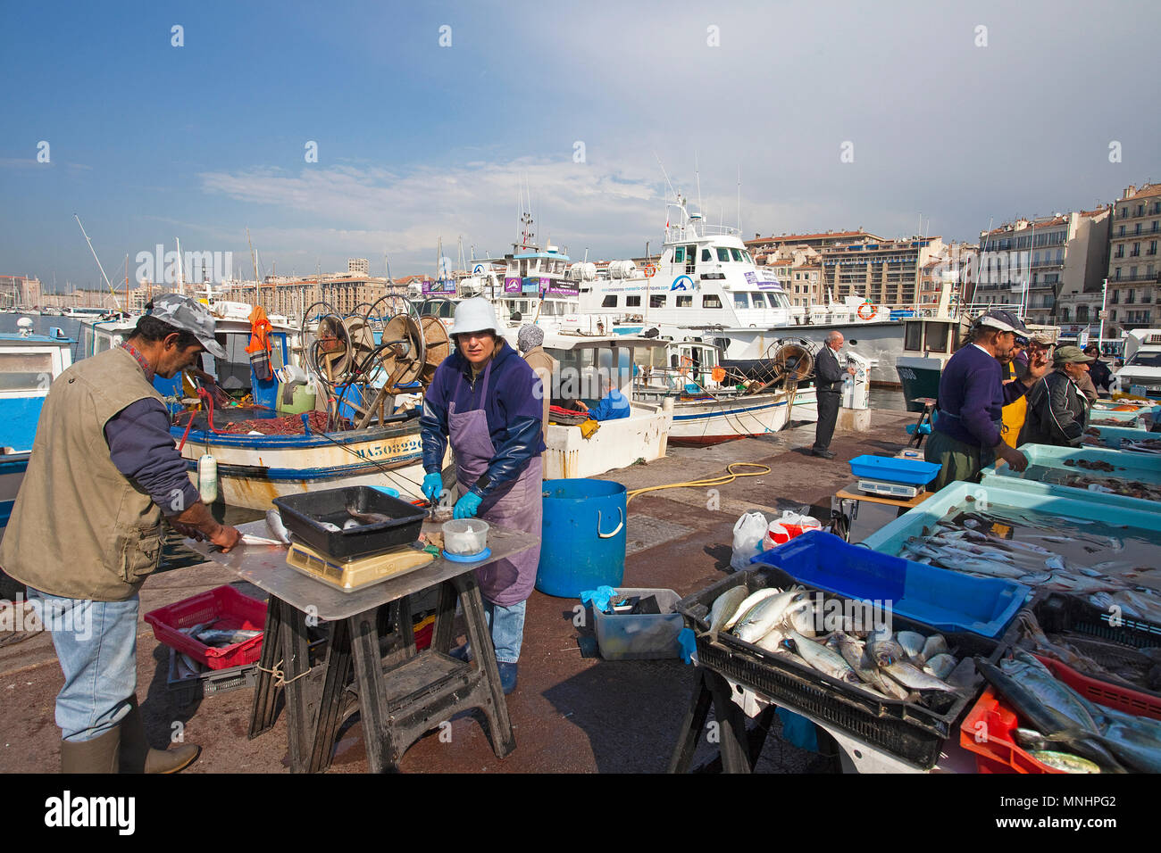 Fishermen selling fish at harbour Vieux Port, Marseille, Bouches-du-Rhone, Provence-Alpes-Côte d’Azur, South France, France, Europe Stock Photo