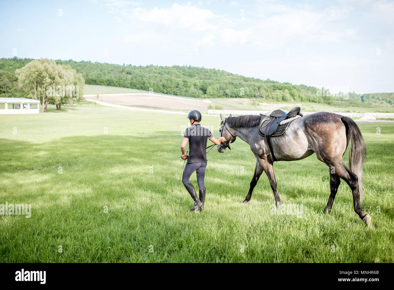 Horse rider leading a horse on the beautiful green field Stock Photo
