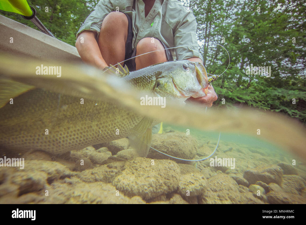 Bass Pond High Resolution Stock Photography and Images Alamy