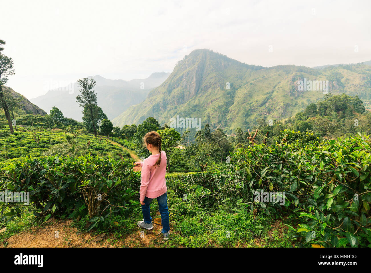 Little girl enjoying breathtaking views over mountains and tea plantations in Ella Sri Lanka Stock Photo