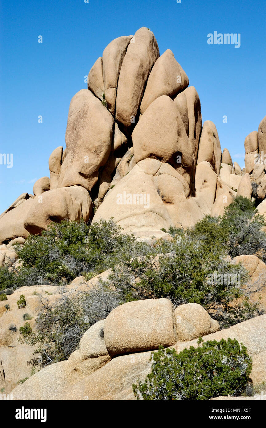 Monzogranite rock pile, Jumbo Rocks, Joshua Tree National Park, CA 040410 0707 Stock Photo