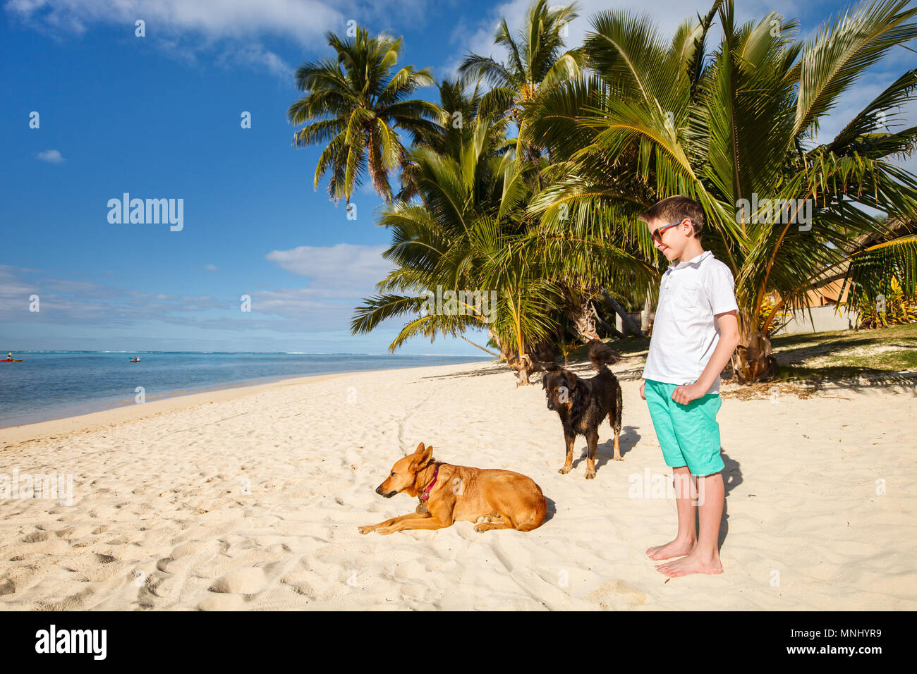 what age can i take my puppy to the beach