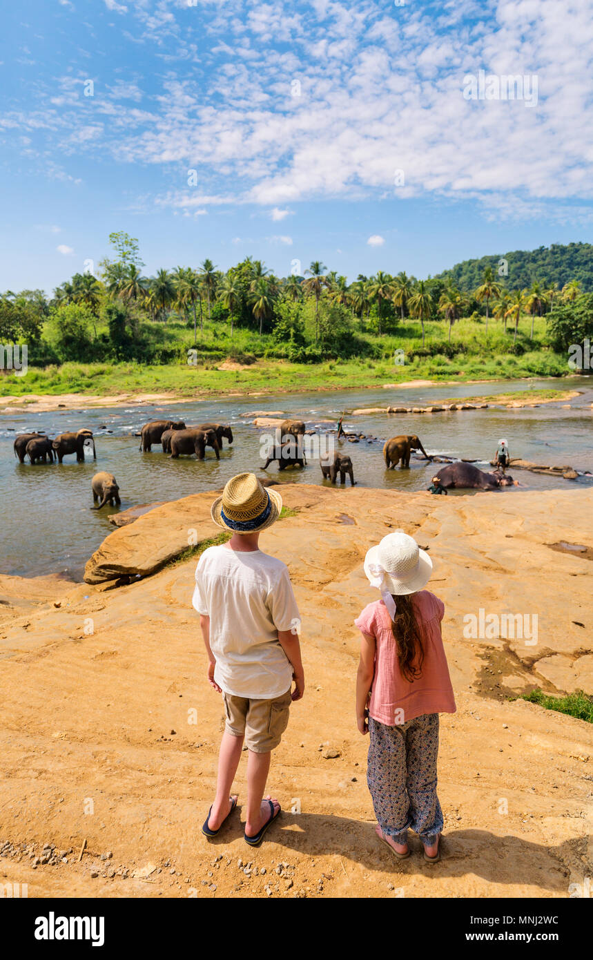 Kids watching Sri Lankan elephants at riverbed drinking water Stock Photo