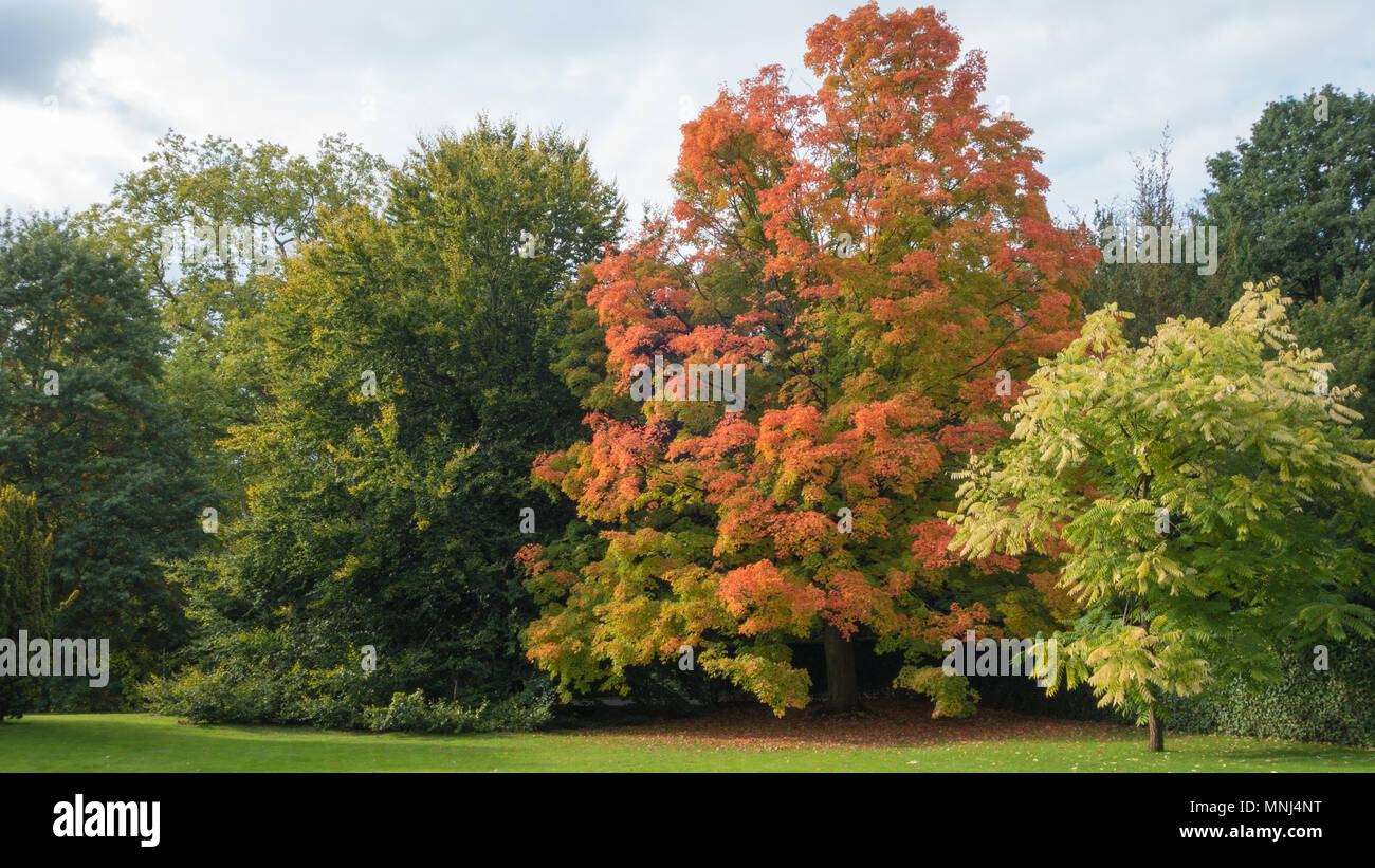 Campus Arenberg High Resolution Stock Photography and Images - Alamy