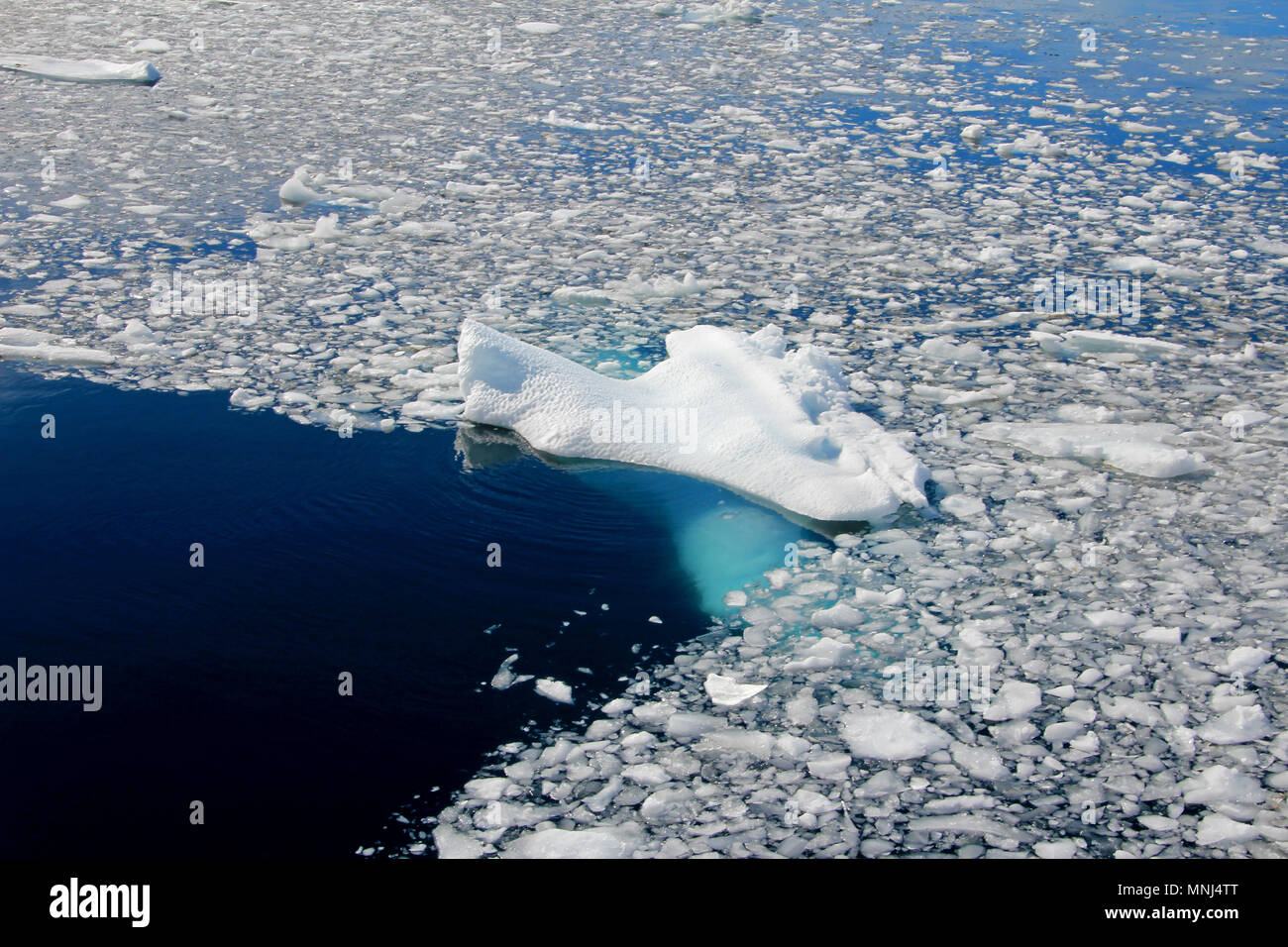 Ice Floating Мурманск. Плывучие льды или плавучие. Айс флоатинг в льдинах. Айс-флоатинг в белом море.