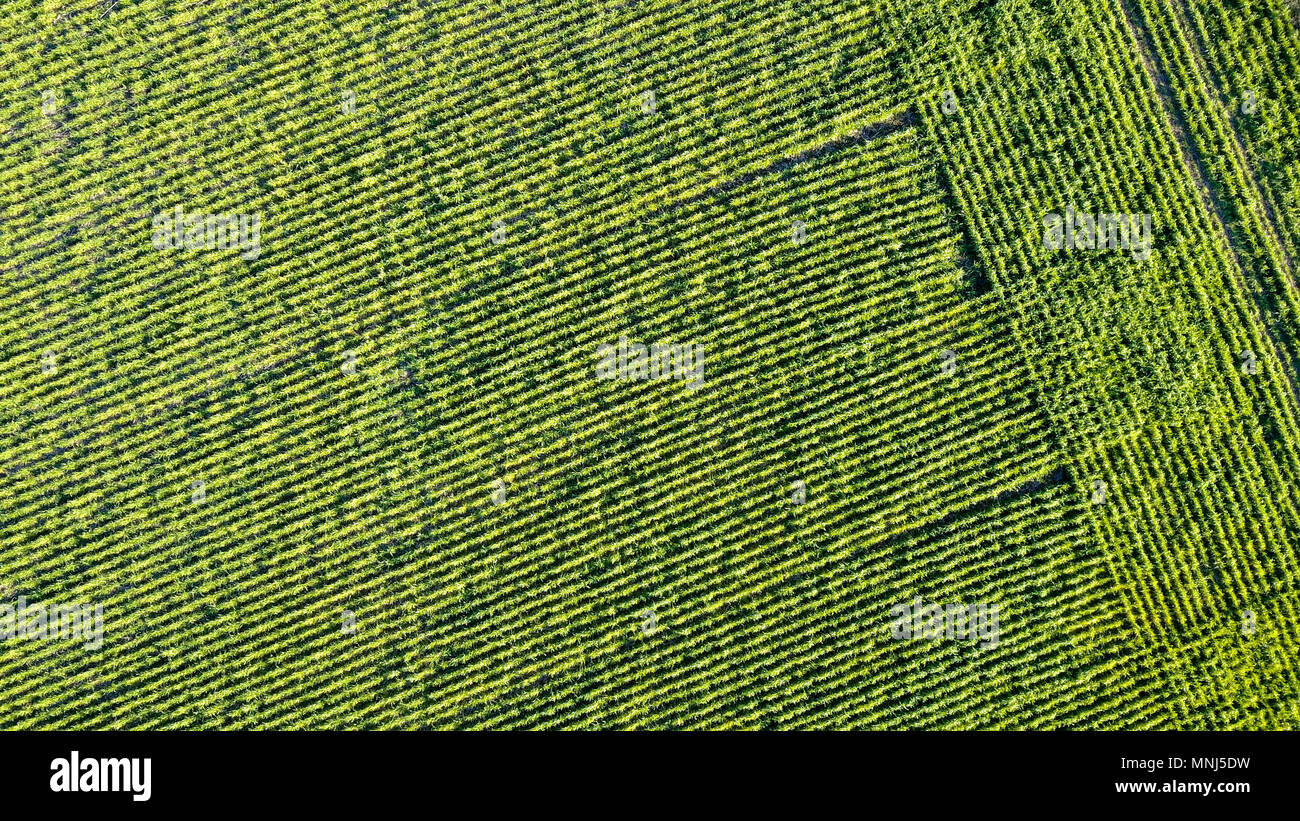 Argentina farm aerial hi-res stock photography and images - Alamy