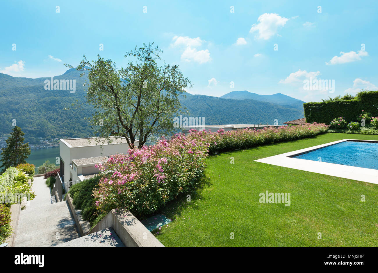 beautiful green garden with pool, outdoors Stock Photo