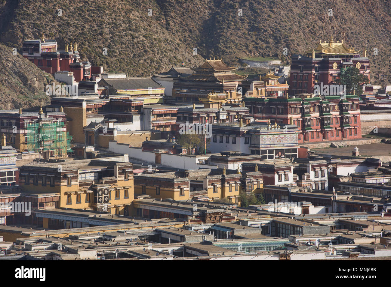 Labrang Monastery in morning light, Xiahe, Gansu, China Stock Photo