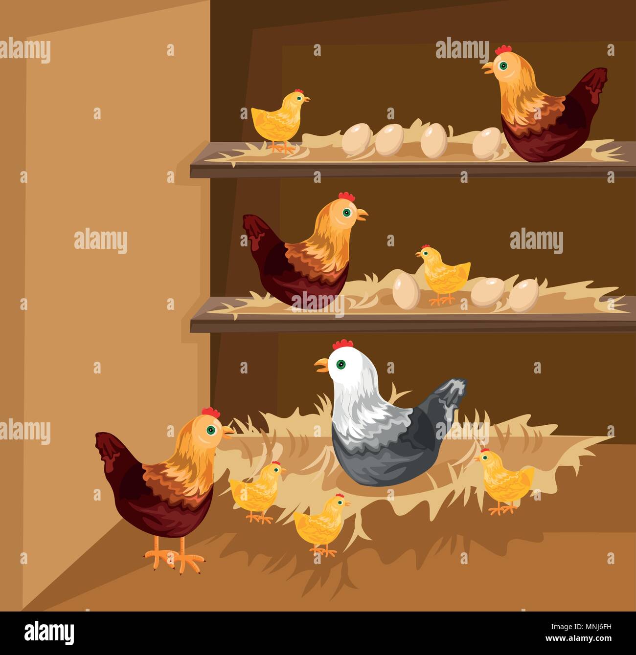 Chicken nesting in a coop Vector. Ecological free range growing animals Stock Vector