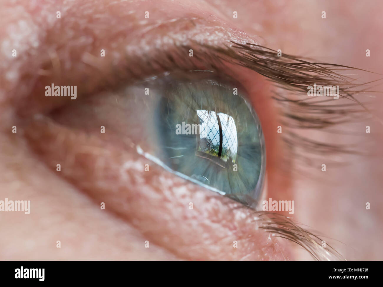 Closeup Of A Man S Eye While Looking Out Of A Window With A