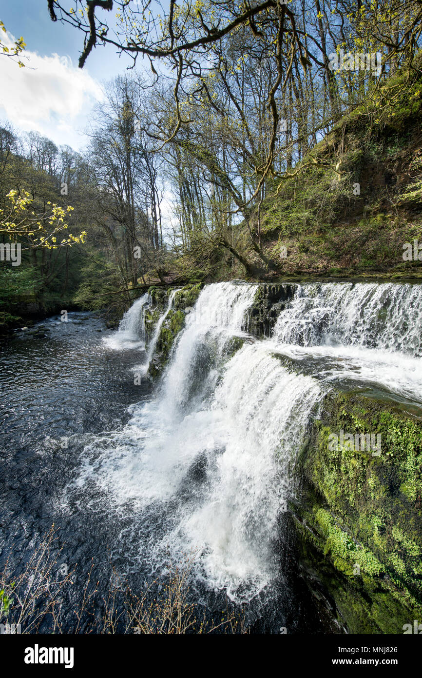 The Four Waterfalls Walk near Pontneddfechan in the Brecon Beacons - the Sgwd y Pannwr falls (or 