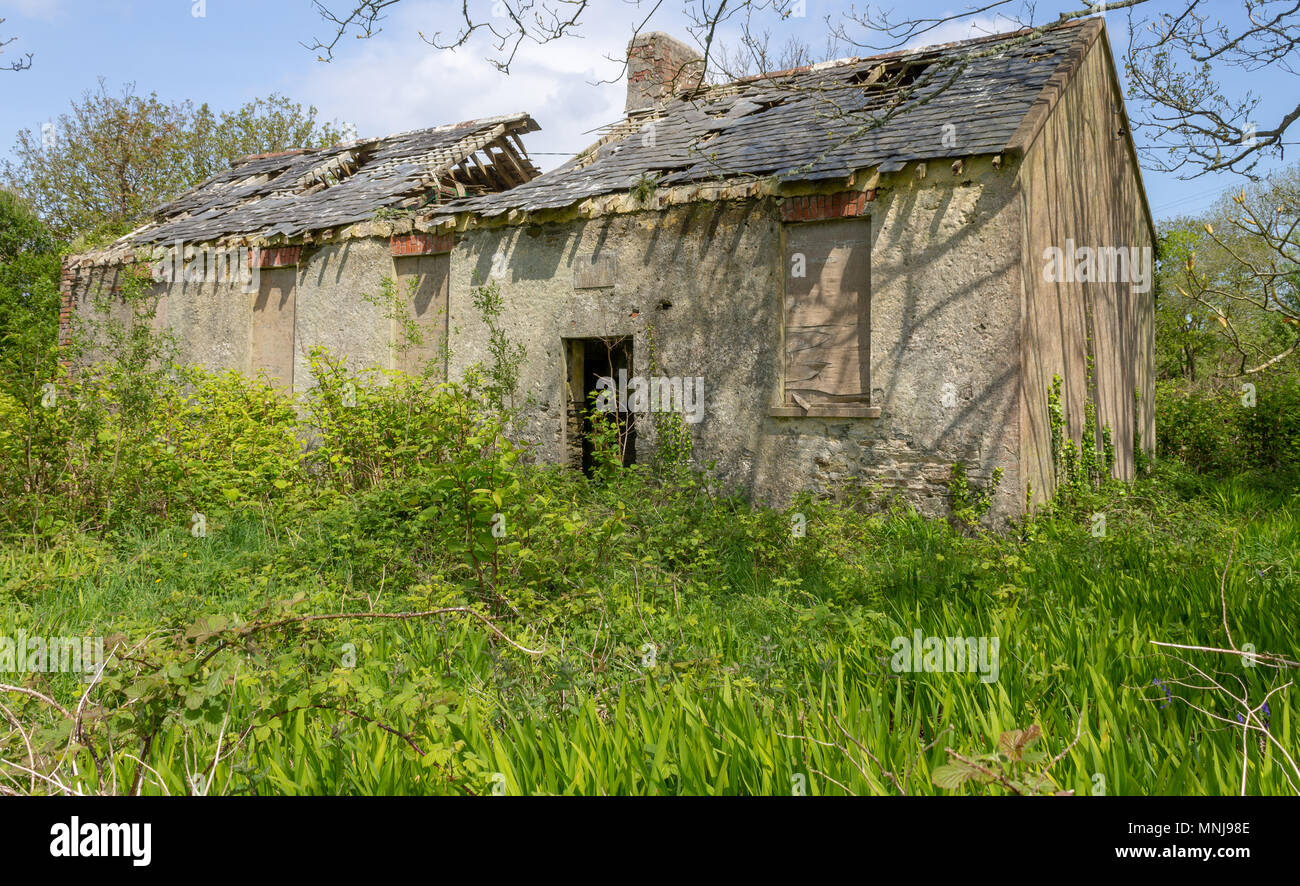 falling down derelict decaying ruins of dunbeacon national school, a local village school in rural ireland founded in 1902. Stock Photo