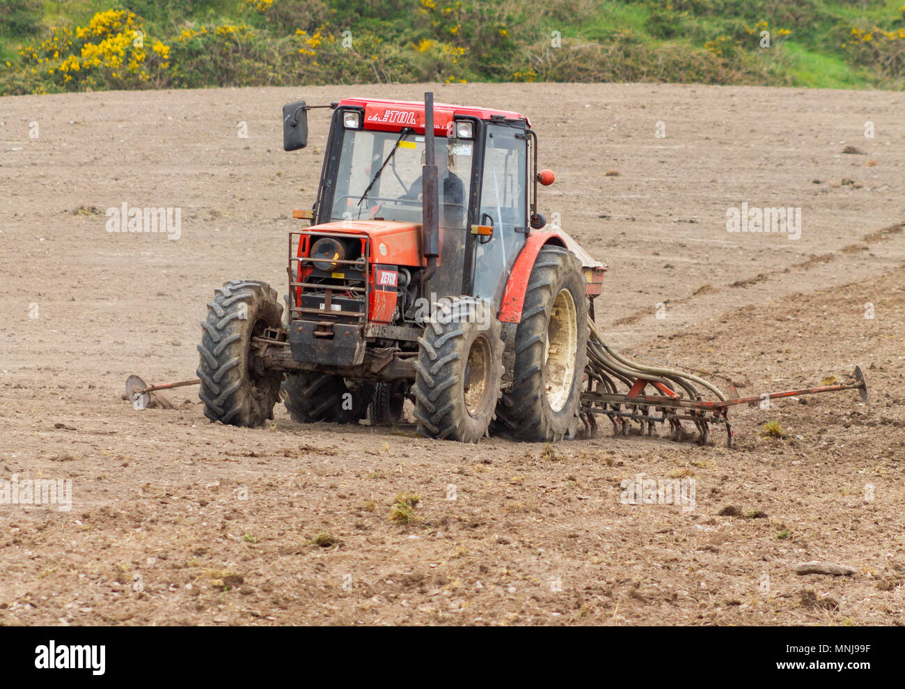 farmer in ireland sowing a crop of wheat with a multi headed seed drill towed behind a tractor. Stock Photo