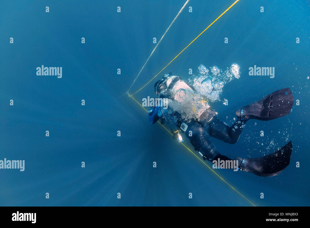 scuba diver, decending into deep water, North Carolina, USA, Atlantic Ocean Stock Photo