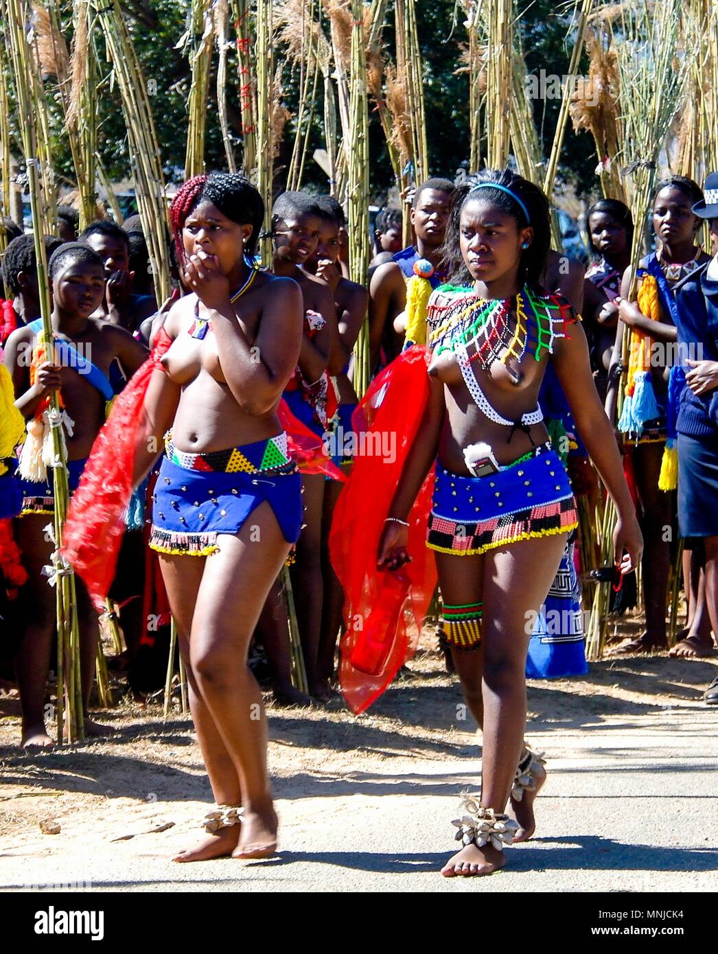 Zulu Reed Dance Ceremony