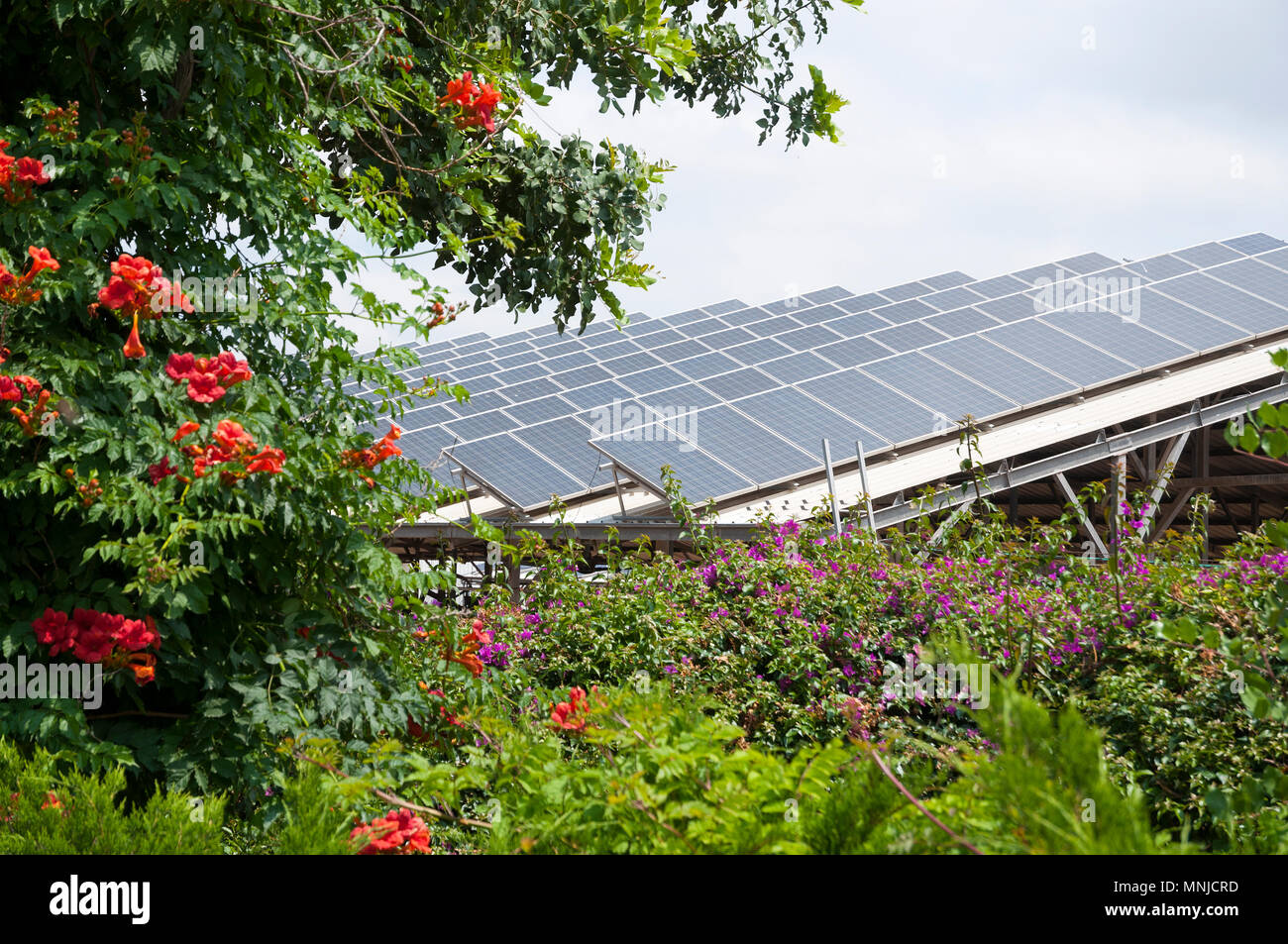 green-energy-solar-panels-on-roof-stock-photo-alamy