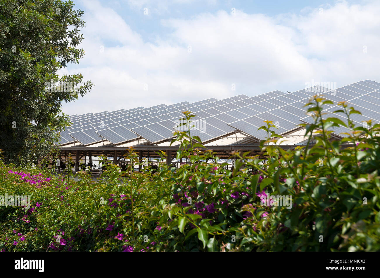 Green energy, solar panels on roof Stock Photo - Alamy